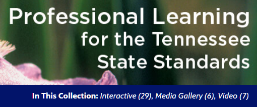 Professional Learning for Tennessee State Standards for elementary reading and language arts teachers